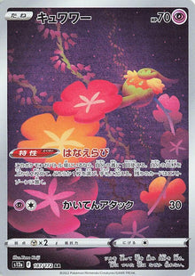 Comfey (S12a 187/254)