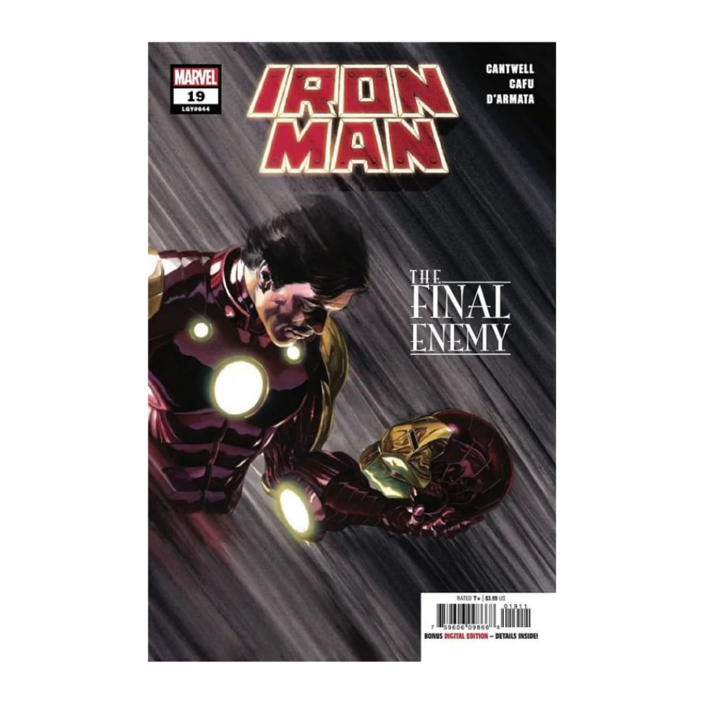 Iron Man #19